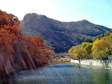 管家婆黑白马报图库，逸致油耗